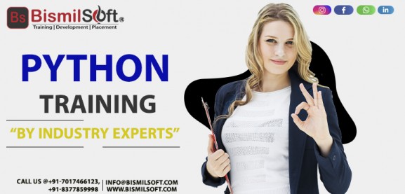 Python,Training,Online Python,